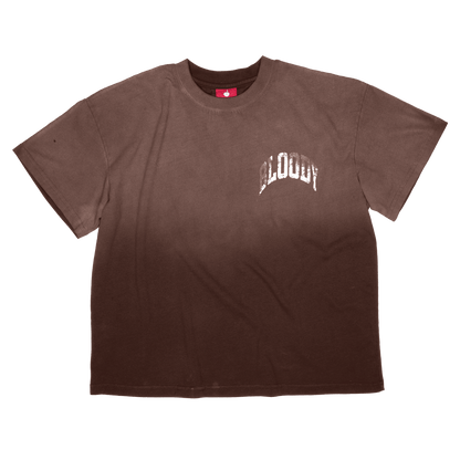 VINTAGE WASH CROP TEE [BROWN] - Bloody Sunday